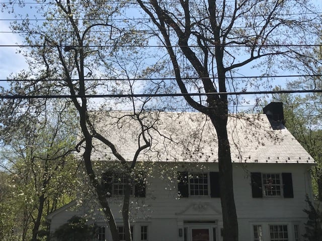 Bedford Hills- Brewster, RYE BROOK, before- dirty roof- Rye roof washing, soft roof cleaning, roof shampoo, siding pressure washed, house pressure cleaning, patios, decks, walkways, wood, tile, brick, slate, siding pressure cleaned, westchester, putnam and dutchess county, NY- Westchester Power Washing